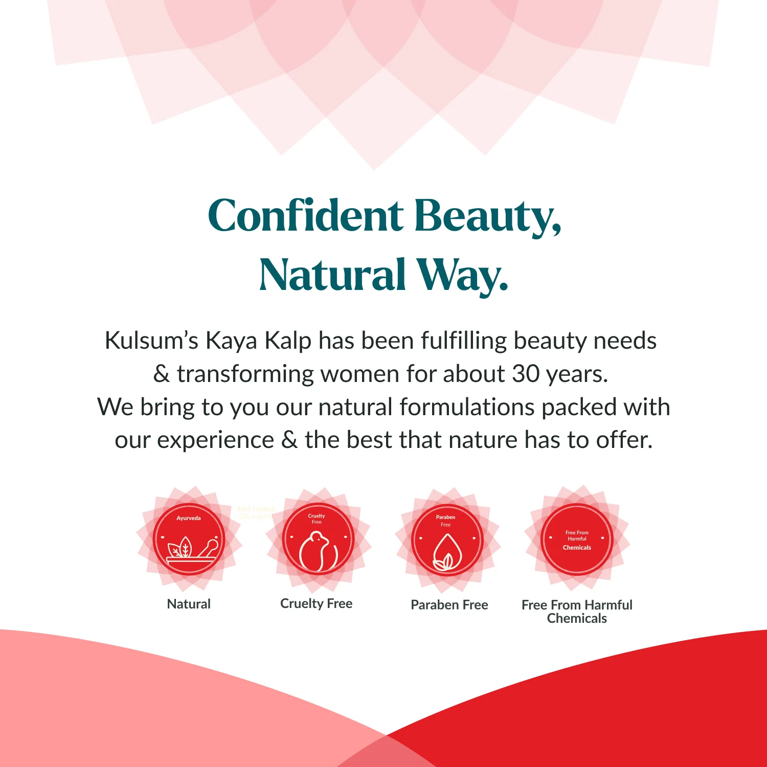 Bridal Facial Kit For Radiance & Flawless Skin - Image 8