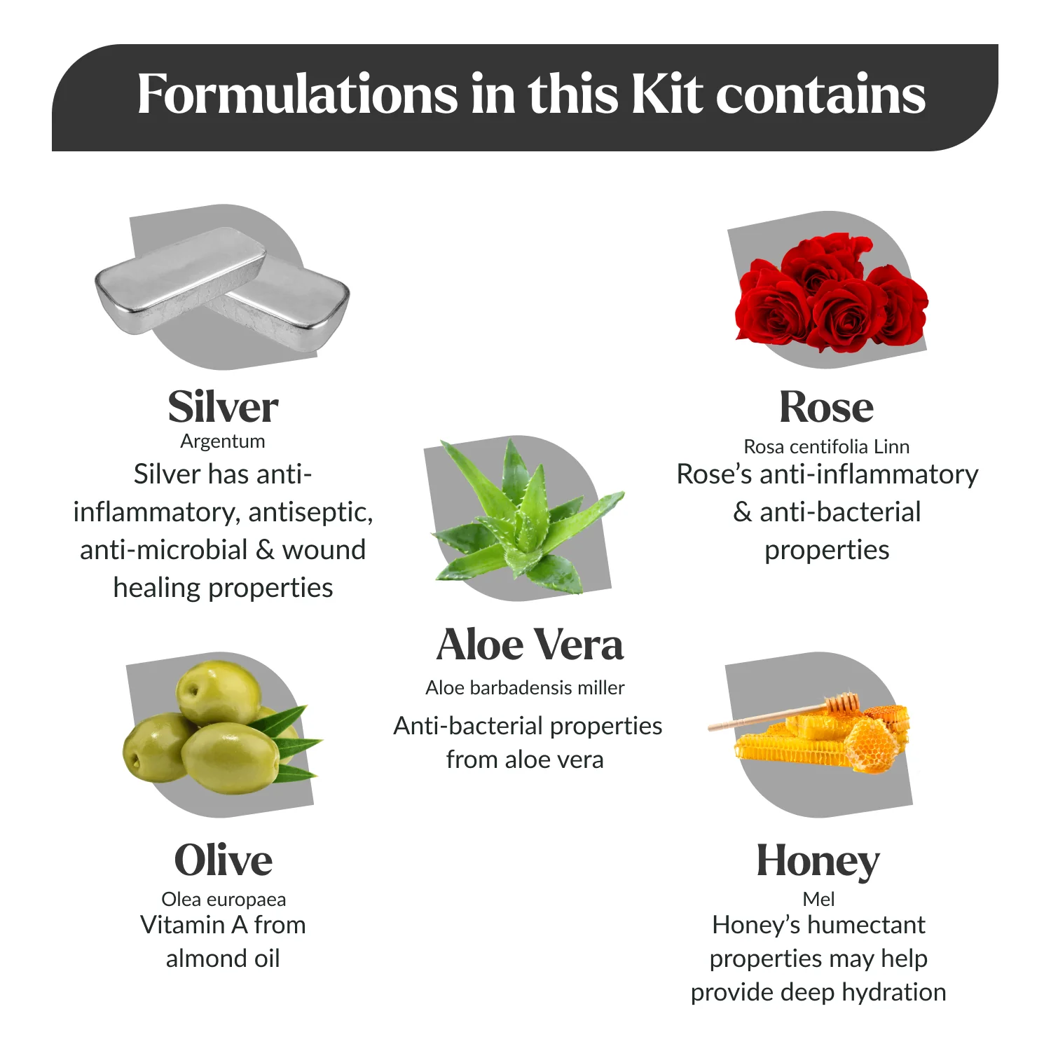 Silver Facial Kit - Image 4