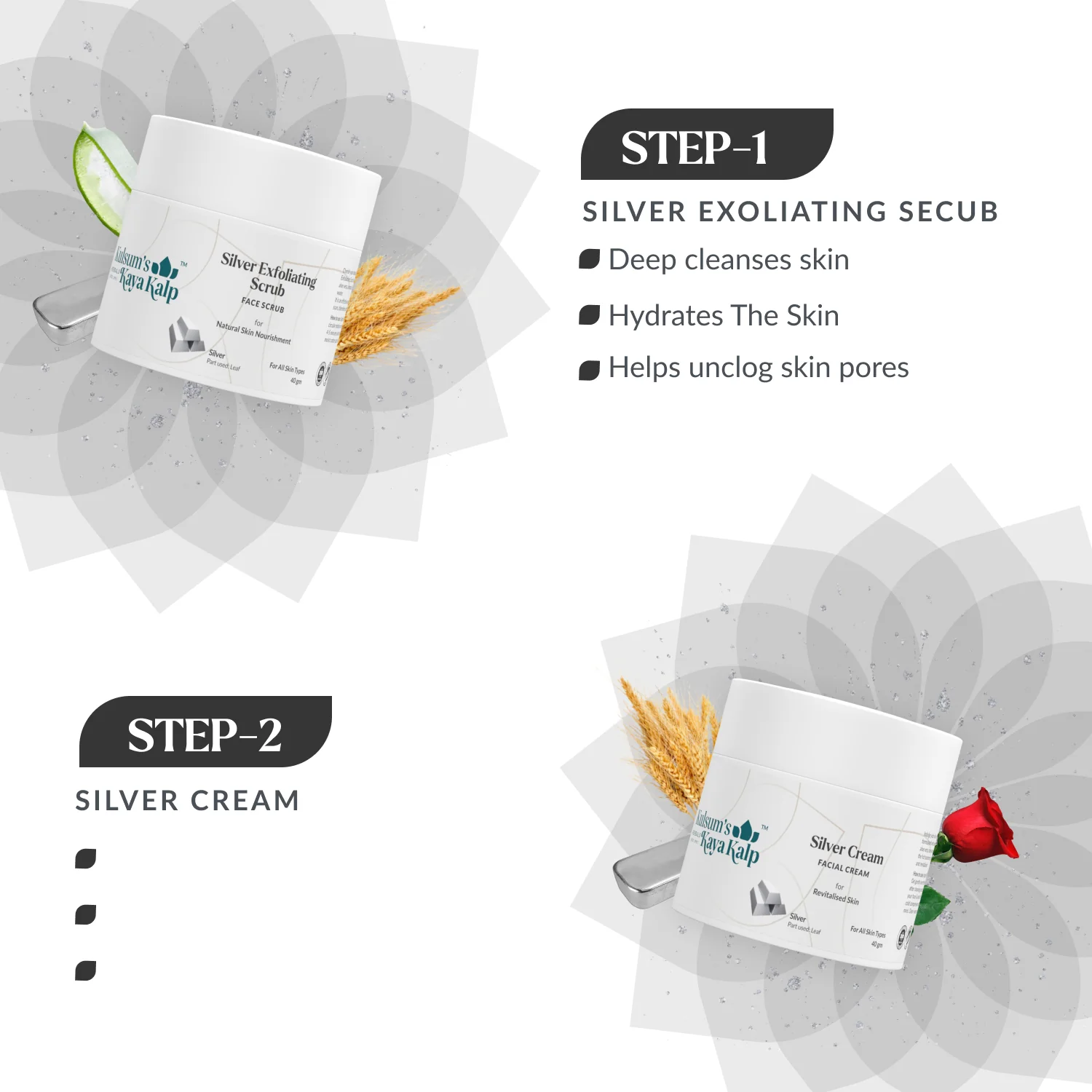 Silver Facial Kit - Image 5