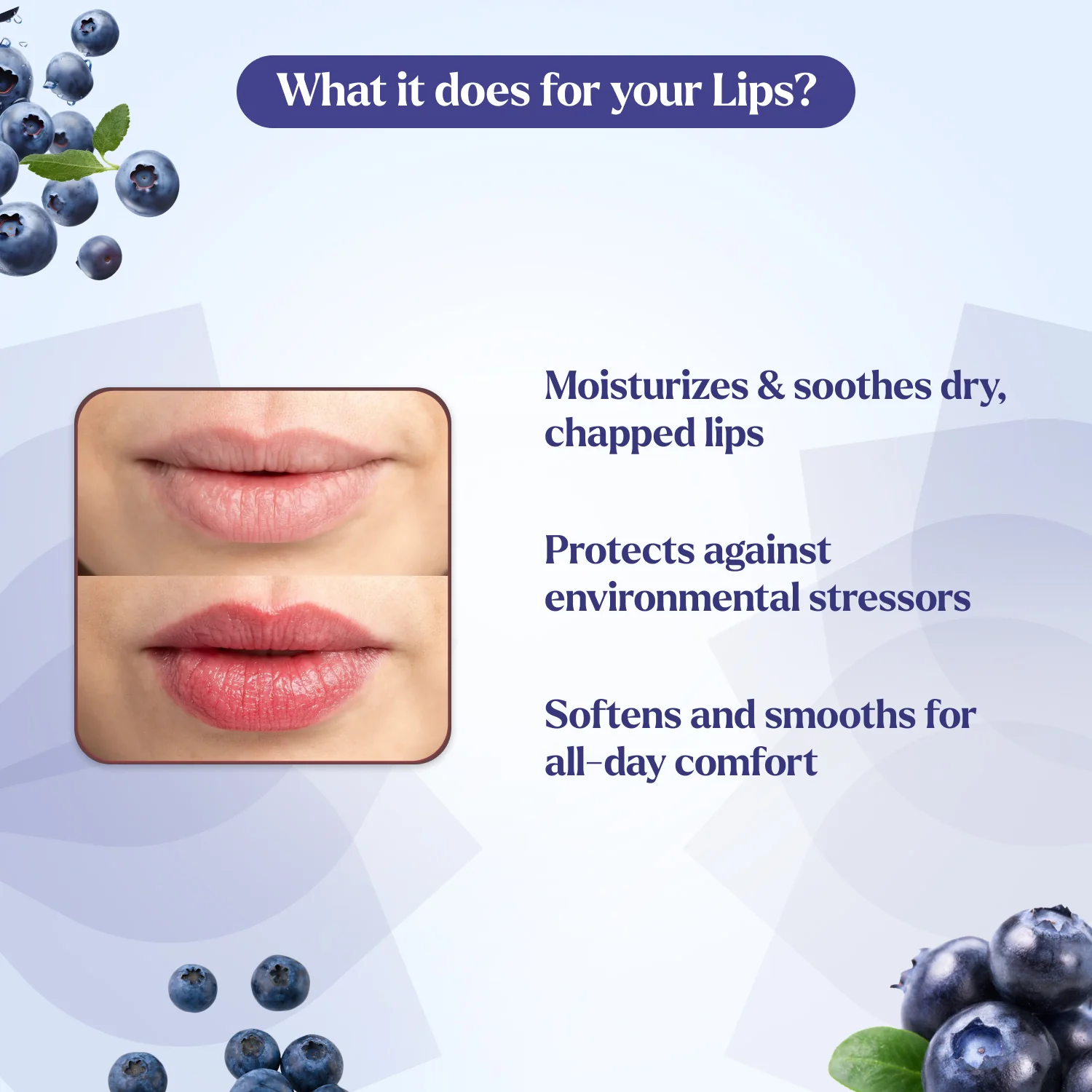 Lip Balm Pack of 4 Blueberry, Vanilla, Mango & Strawberry Lip Balm - Image 4