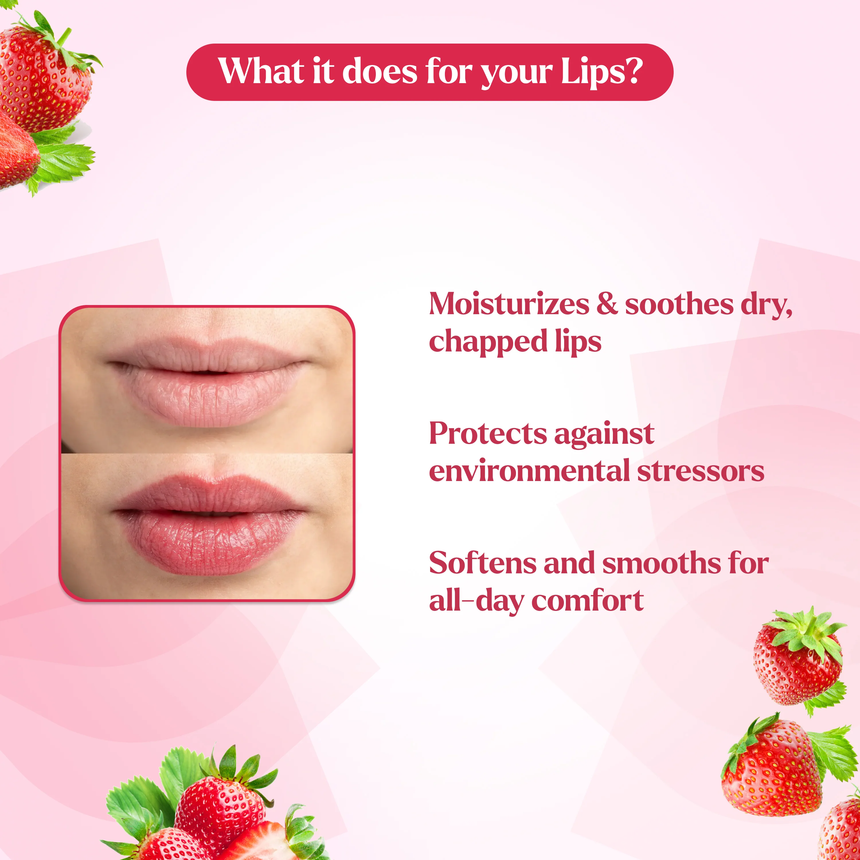 Lip Balm Pack of 4 Blueberry, Vanilla, Mango & Strawberry Lip Balm - Image 11