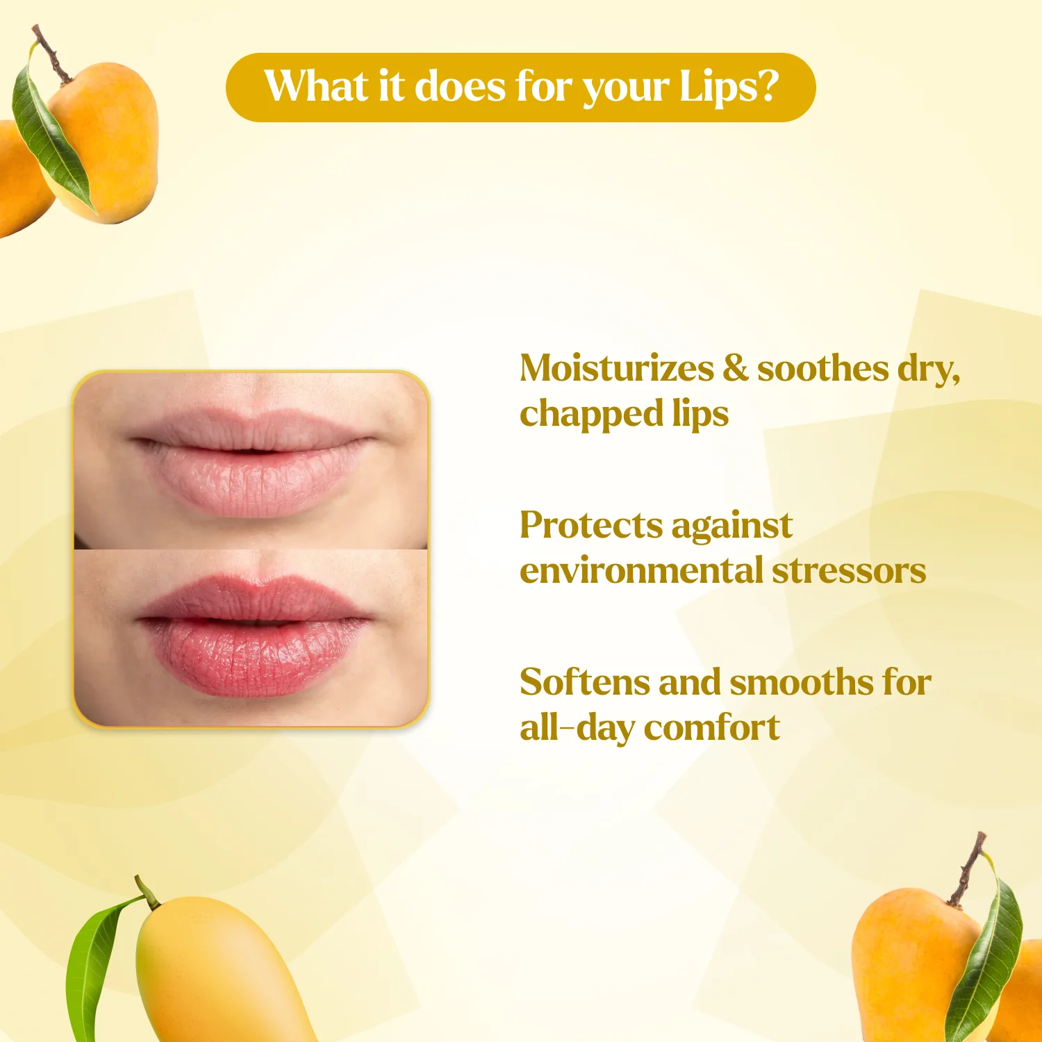 Lip Balm Pack of 4 Blueberry, Vanilla, Mango & Strawberry Lip Balm - Image 8